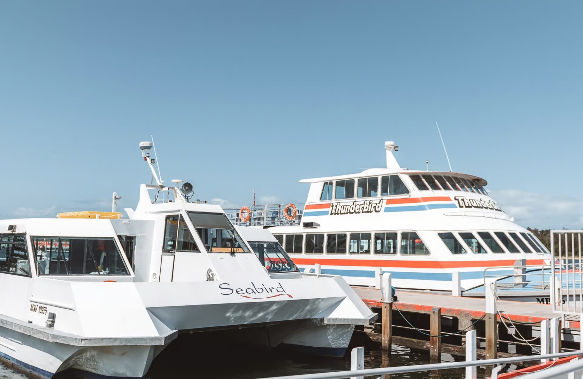 Boat Hire & Fishing